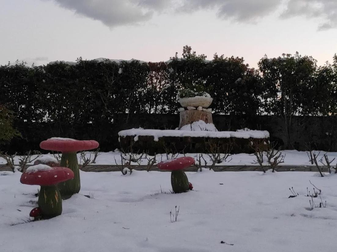 Casa Vacanze Angelica Ostra Vetere エクステリア 写真