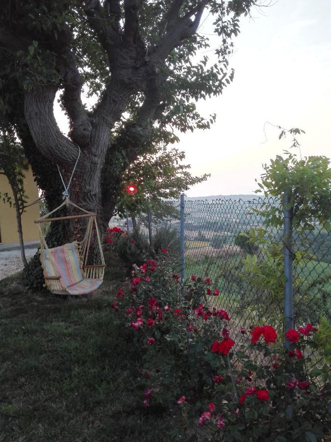 Casa Vacanze Angelica Ostra Vetere エクステリア 写真