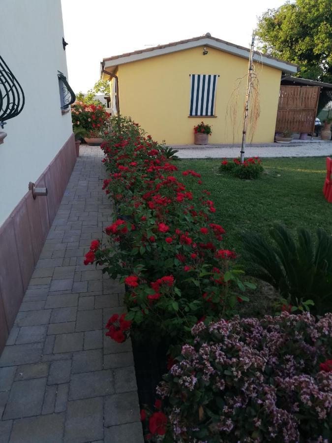 Casa Vacanze Angelica Ostra Vetere エクステリア 写真