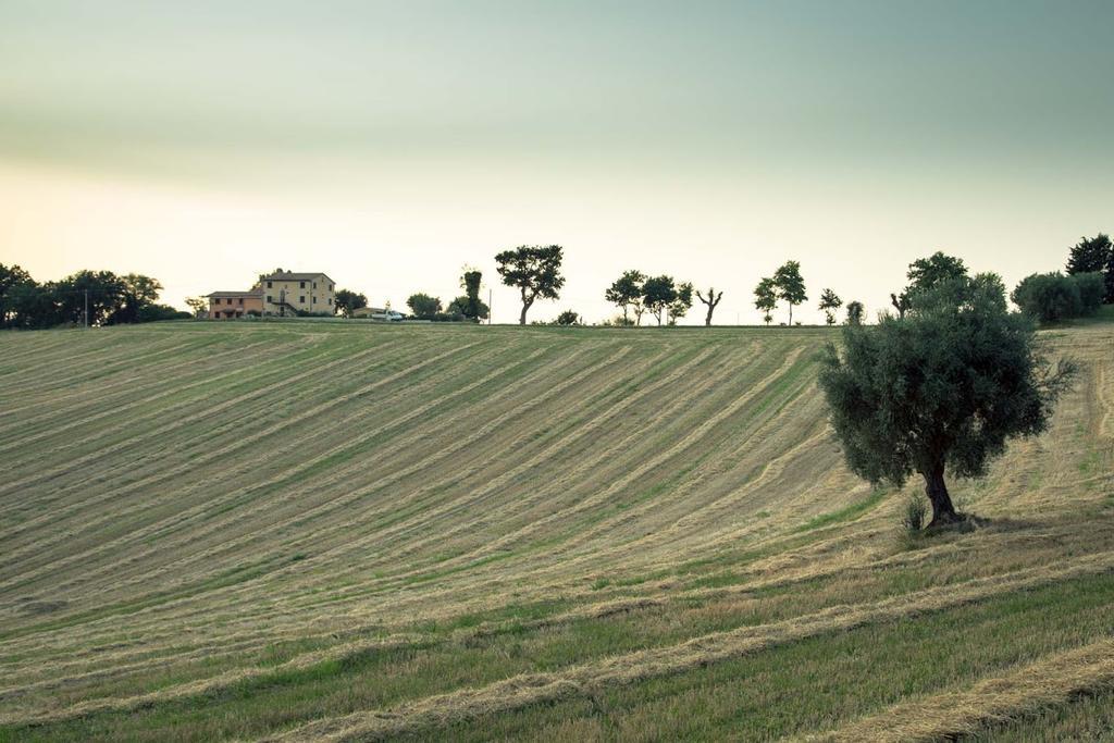 Casa Vacanze Angelica Ostra Vetere エクステリア 写真
